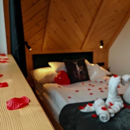 M Domki Zakopane Kültér fotó