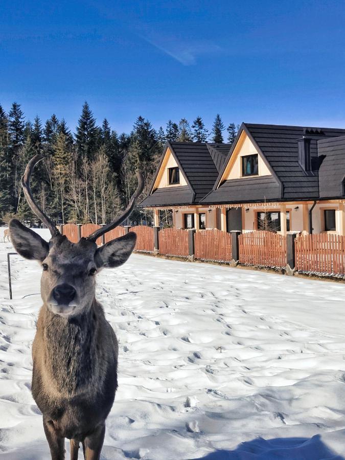 M Domki Zakopane Kültér fotó